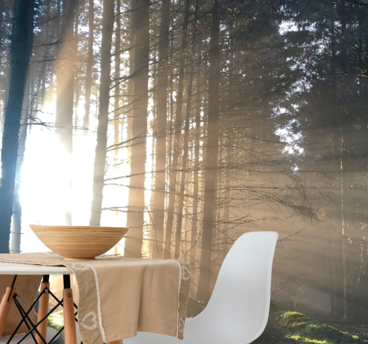 Păduri fototapet cale iluminată în pădure - TenStickers