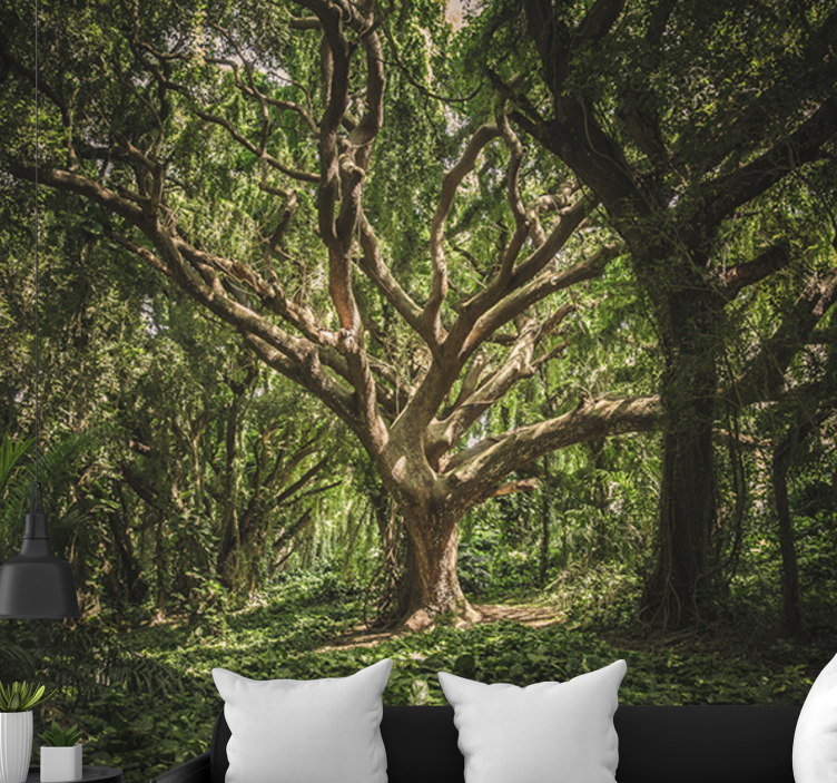 Păduri fototapet copertină majestică de pădure - TenStickers