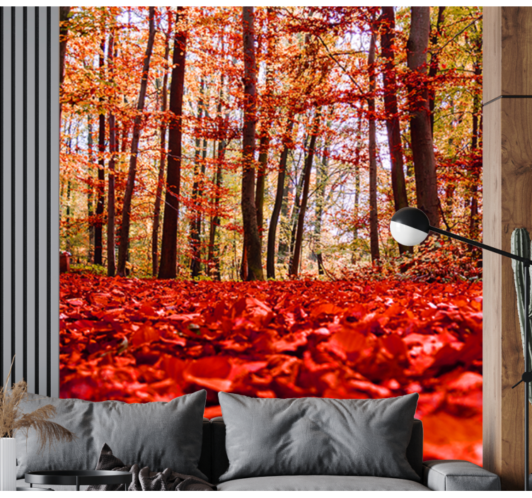 Păduri fototapet coroana frunzelor de toamnă - TenStickers