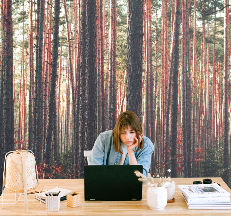 Păduri fototapet păduri de pin liniștite - TenStickers