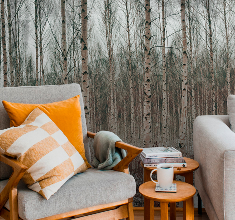 Păduri fototapet peisaj cu mesteceni - TenStickers