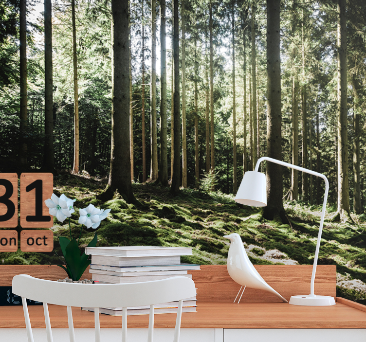 Păduri fototapet peisaj liniștit de pădure - TenStickers