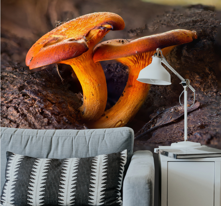 Păduri fototapet peisaj natural cu ciuperci - TenStickers