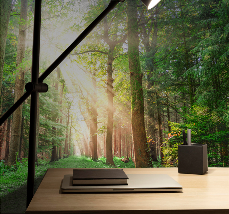 Păduri fototapet poteca liniștită din pădure - TenStickers