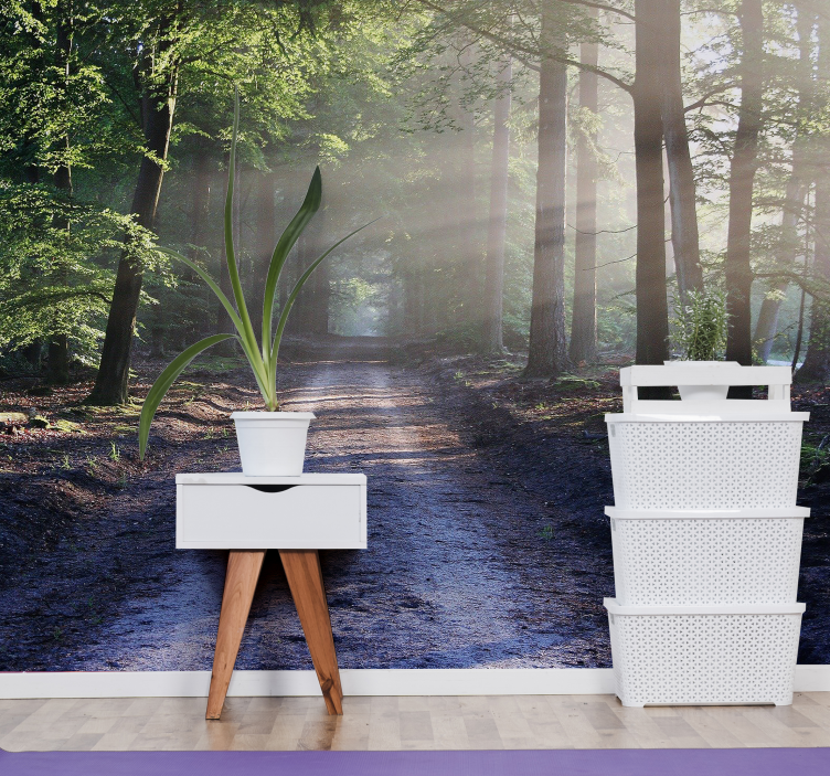 Păduri fototapet traseu iluminat din pădure - TenStickers