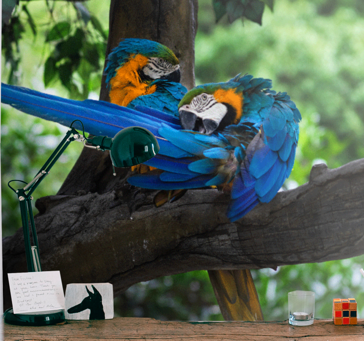 Papagali colorati in muralul de perete al junglei - TenStickers