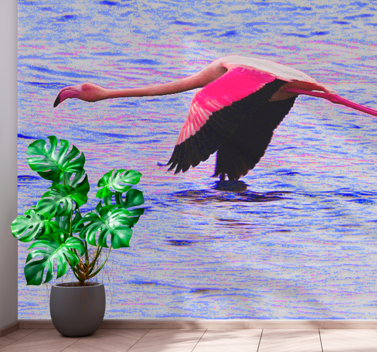 Fototapet frumos flamingo pe apă - TenStickers