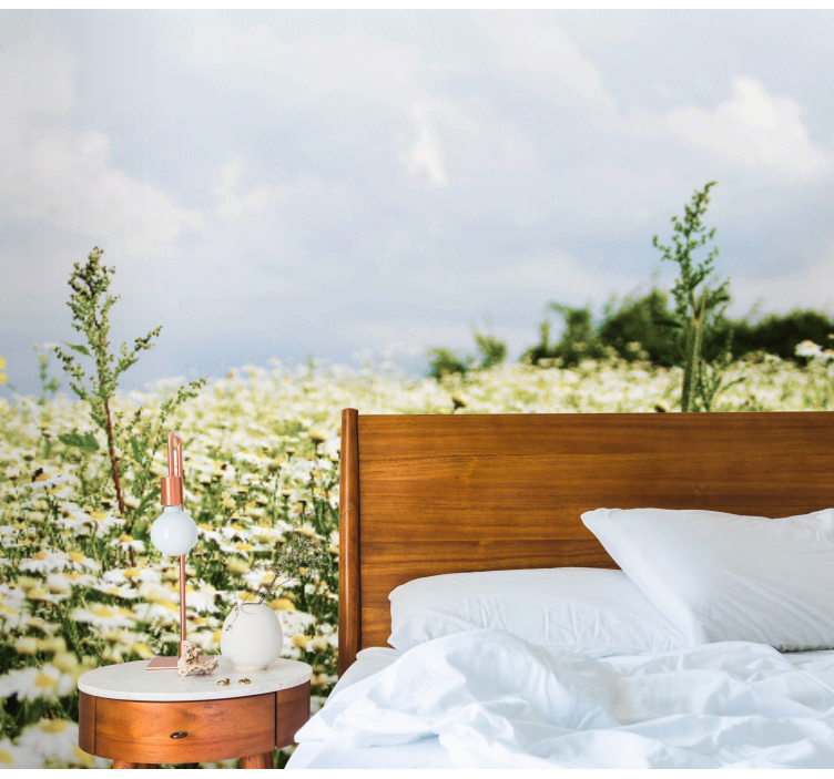 Murală pașnică poiană liniștită a margaretelor natură - TenStickers