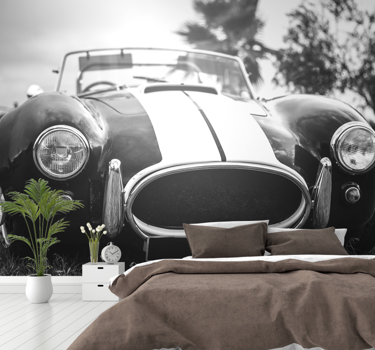 Tapet de fotografie cu mașini de curse vintage - TenStickers