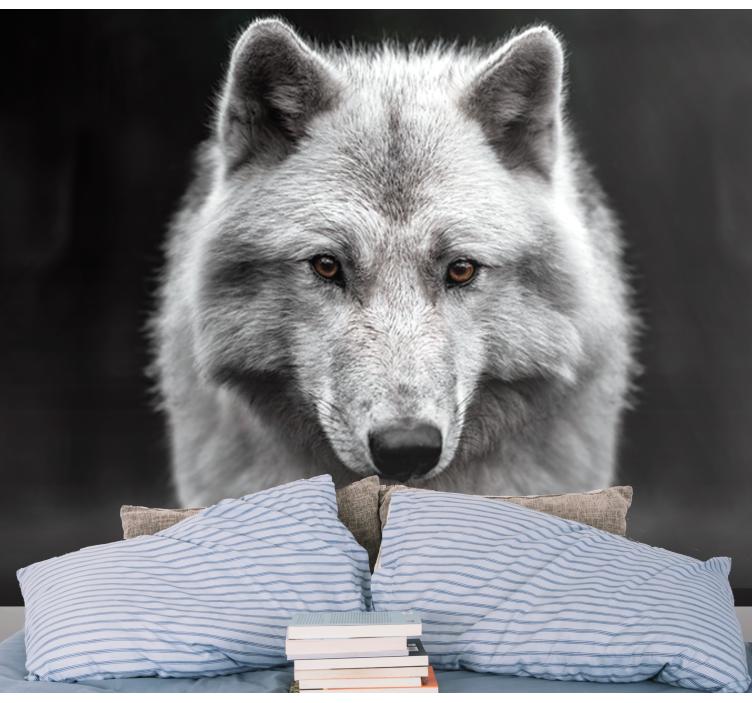 fototapetde perete lup alb - TenStickers