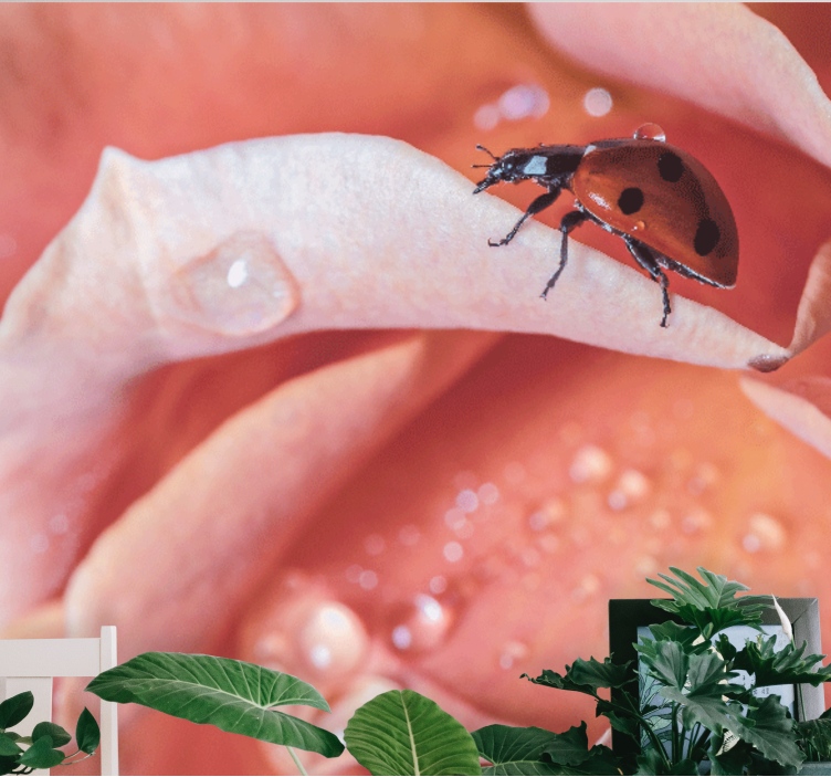 Fototapet gărgăriță în stil elegant cu flori roz - TenStickers