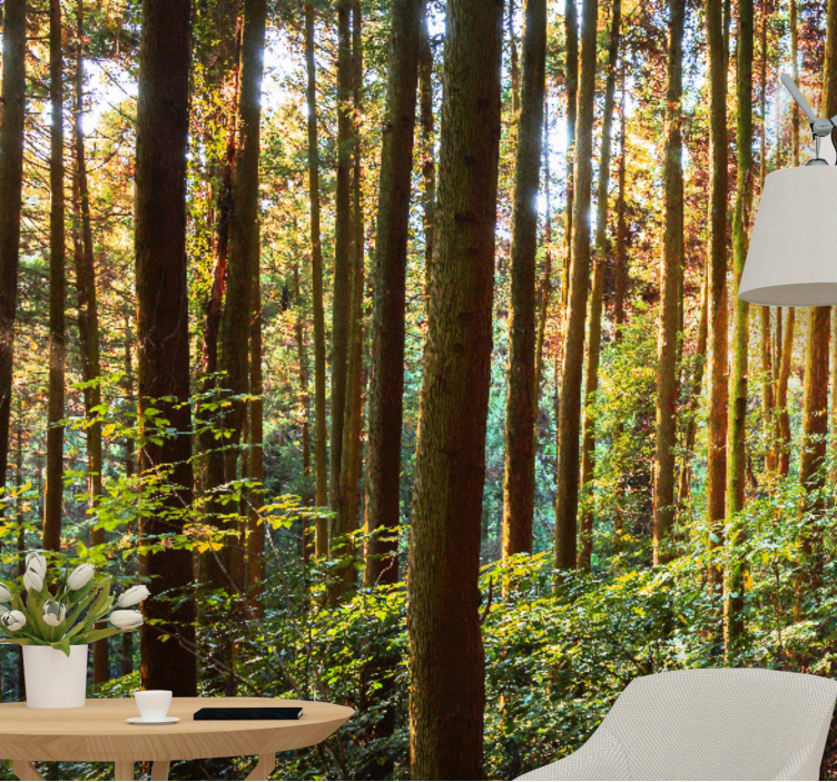 Trunchiuri de copaci înalte fototapet de pădure - TenStickers
