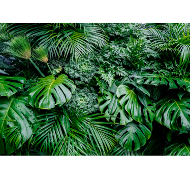 Murală de pădure plantă de junglă - TenStickers