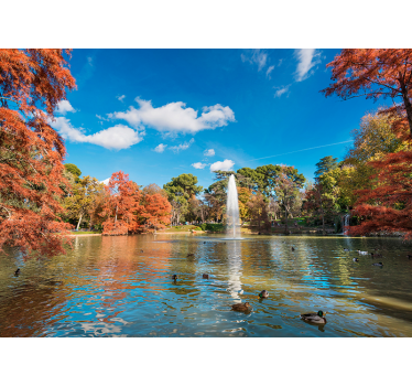 Retragere parc în toamna salon tapet foto - TenStickers