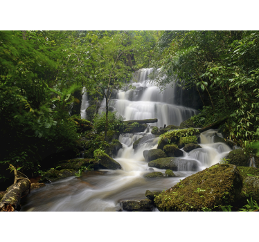Pădure și cascade mural peisaj - TenStickers