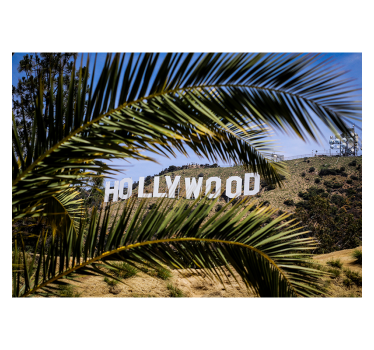 Zodie hollywoodă și tapet mural de copac - TenStickers
