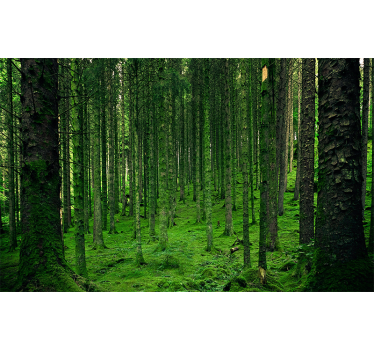tapet poloneze de pădure magică poloneză - TenStickers