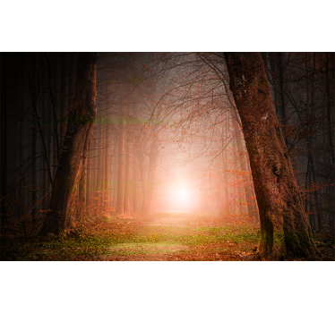 Păduri fototapet misterioasă potecă de pădure - TenStickers