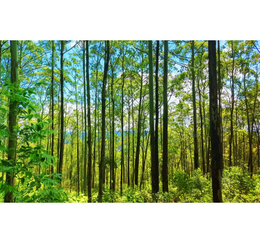 Poloneză mesteacăn natura picturi murale - TenStickers