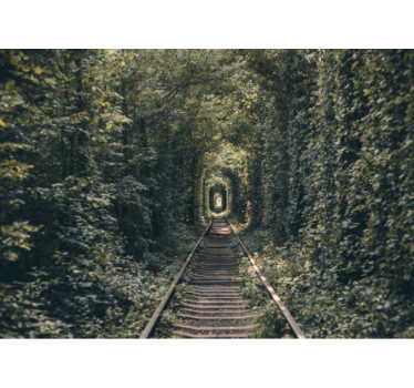 Fototapet peisaje calea tunelului forestier - TenStickers