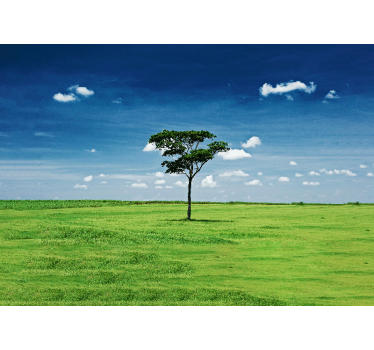 Fototapet natura arbore verde singuratic - TenStickers