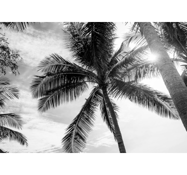 Fototapet mare scena de palmier tropical - TenStickers