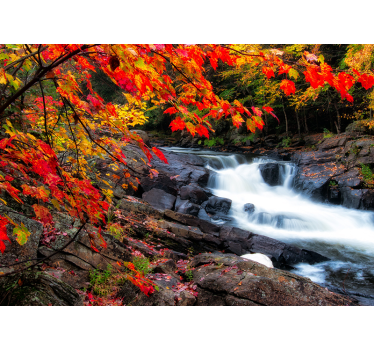 Păduri fototapet peisaj cu cascade de toamnă - TenStickers
