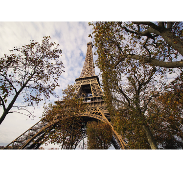 Fototapet paris perspectivă scenică turn eiffel - TenStickers
