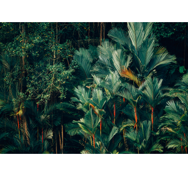 fototapetde pădure și copac verde - TenStickers