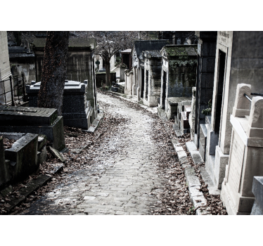 Fotomuraluri cu alte orașe și țări peisaj cu alee de cimitir - TenStickers