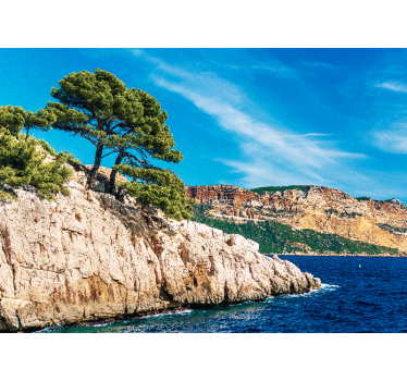 Fototapet natura peisaj de pin de coastă - TenStickers