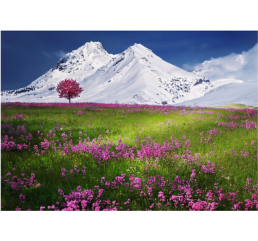 Fototapet peisaje priveliște de pajiște montană - TenStickers