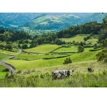 Fototapet peisaje câmpuri verzi ondulate - TenStickers