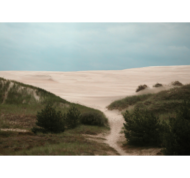 Fototapet peisaje calea dunei de nisip - TenStickers