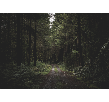 Fototapet natura poteca verde din pădure - TenStickers