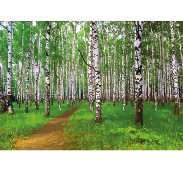 Fototapet natura cale în pădurea de mesteacăn - TenStickers