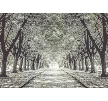 Fototapet natura cale senină a copacilor - TenStickers