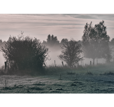 Fototapet natura peisaj pădure în ceață - TenStickers