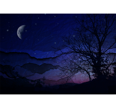 Fototapet cerul noaptea luminată de lună - TenStickers