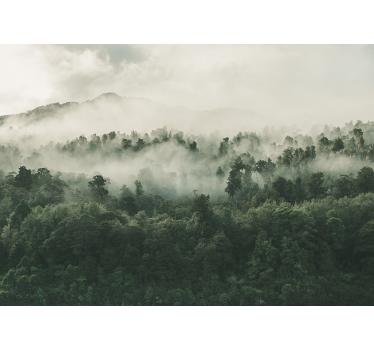 Fototapet natura peisaj pădure cețoasă - TenStickers
