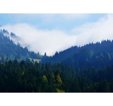 Fototapet natura munți și cețuri - TenStickers