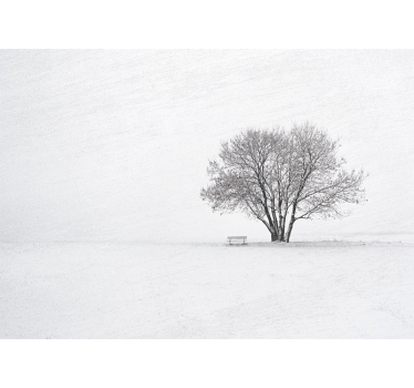 Fototapet natura copac singuratic acoperit cu zăpadă - TenStickers