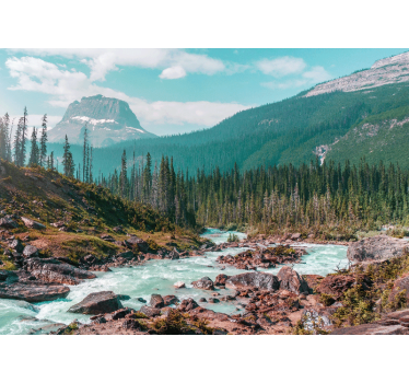 Fototapet peisaje pârâu montan verde - TenStickers
