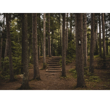 Tapet padure natura copac inalt - TenStickers