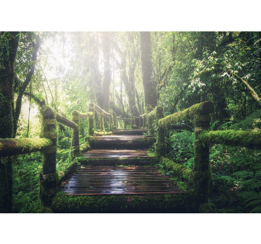 Fototapet natura potecă luxuriantă în pădure - TenStickers