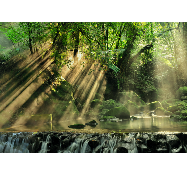 Fototapet natura pârâu de pădure însorit - TenStickers