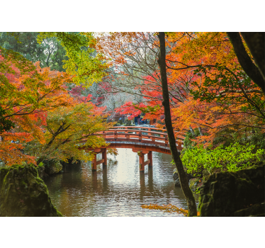 Fototapet cu copac din pădure „grădina japoneză”. - TenStickers