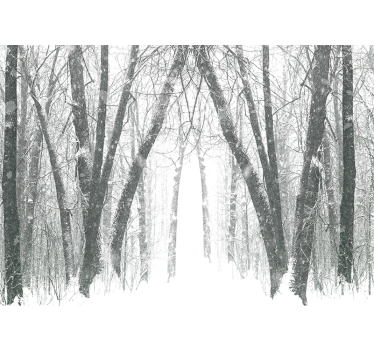 Păduri fototapet poteca pădure înzăpezită - TenStickers