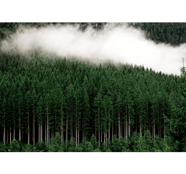Fototapet natura peisajul muntos majestic - TenStickers