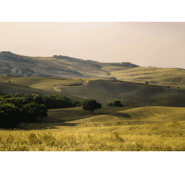 Câmpuri din toscana peisaj natură picturi murale - TenStickers
